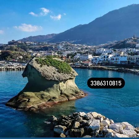 Zaras 11 Lacco Ameno (Isola d'Ischia) Exterior foto